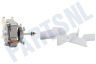 Inventum Oven-Magnetron Ventilator Motor