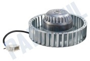 Zanker 1125422004 Wasdroger Ventilatormotor geschikt voor o.a. T59800, LTH59800