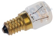 Rondo (n-rn) 1256508019 Wasdroger Lamp 10W 230V geschikt voor o.a. o.a. T35809, SK4540