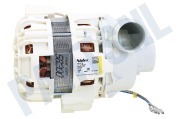 Rex 50299965009 Afwasmachine Afvoerpomp Circulatiepomp geschikt voor o.a. F40742, ZDI210W, ZDF306