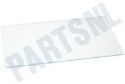 Hanseatic 481050213182 Koelkast Glasplaat 430 x 260 geschikt voor o.a. KRA1400,KVA1300,ARC0700,