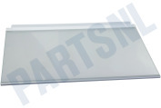 Neff 667750, 00667750 Koelkast Glasplaat geschikt voor o.a. K5754X1, KI25FA65