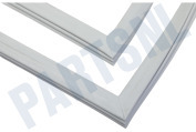 Arcelik Koelkast 4669520600 Deurrubber geschikt voor o.a. RSSA290M21W, KSSA2933WN