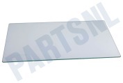 Continental 4561812000 Vriezer Glasplaat Groentelade geschikt voor o.a. DSA28010, SSA15000