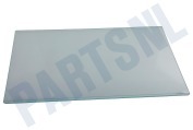 Hanseatic Vriezer 4618830400 Glasplaat geschikt voor o.a. CSA29000, CSA24032, DSA28001S