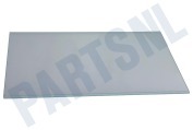 Altus 4629840500 Vrieskast Glasplaat geschikt voor o.a. RBI6301LH, KD1440