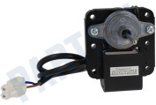 Motor Van ventilator