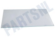 Liebherr 7271849 Koelkast Glasplaat geschikt voor o.a. GN1066, GNP1066, GN1056