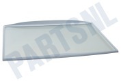 Tegran C00517595 Koelkast Glasplaat 460x310mm. Compleet met randen geschikt voor o.a. WM1500, KRA1601, WBE2311