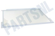 Proline 163336 Koelkast Glasplaat Compleet, incl. strippen geschikt voor o.a. KK1170, PKS8200, KK1220, KB8174M/P01
