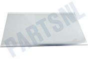 Samsung DA9713502G DA97-13502G Vriezer Glasplaat Compleet, Koelkast, RL31/29 Best,Silver geschikt voor o.a. RB29FEJNBSA, RB37J5349SL