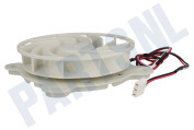 Motor Ventilator