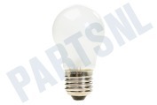 Lamp 40W 240V E27 mat