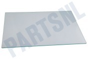 Haier 49054507 0071400157 Koelkast Glasplaat Glasplaat geschikt voor o.a. H2F220WSAA, H2F255WSAA