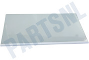 Hisense HK2003406 IJskast Glasplaat Compleet geschikt voor o.a. R4142PW, R4142PS