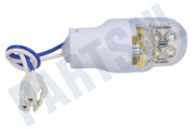 Hisense HK1635757 Koelkast Lamp geschikt voor o.a. RD23DC4SAD, RD22DC4SHAC