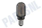 LED Glasfiber Titanium T45 Buislamp 3,5W E27 Dimbaar