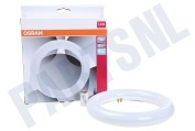 Osram  4058075604612 SubstiTUBE T9 12W Cool White 4000K geschikt voor o.a. 12W 4000K 1200 lumen