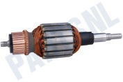 Motor Anker