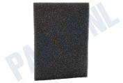 RS-2230000956 Filter