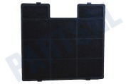 Gorenje 315275 Afzuigkap Carbonfilter AH081 geschikt voor o.a. WHC623E14X, DTG9546DX
