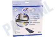 Eurofilter C00780977 Afzuigkap Filter Nanosorb 1100 geschikt voor o.a. FORDELAKTIG40515865, FORDELAKTIG40528325