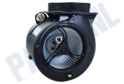 Novy 563-80582 Dampafzuiger Motor (180377) geschikt voor o.a. D6830-15, D6830-16, D820