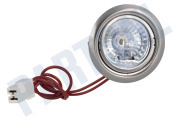 Faber 133.0017.060 Wasemkap Lamp Verlichting Compleet, Halogeen geschikt voor o.a. EG8 X/V A60 FB EXP, SP EV8 X A90