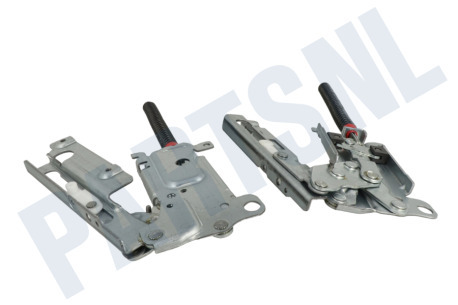 Electrolux  Scharnier Van deur, links en rechts