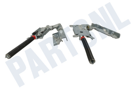 Electrolux  Scharnier Van deur, links en rechts
