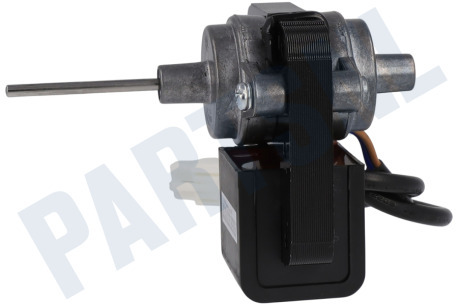 Ariston Koelkast Motor Van ventilator