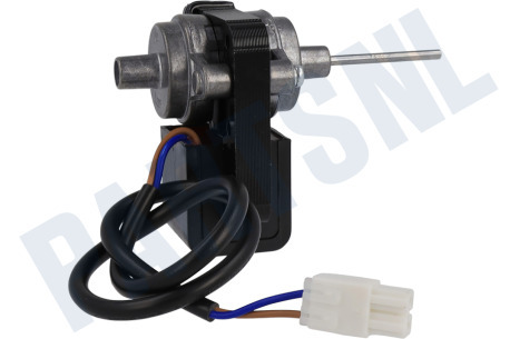 Ariston Koelkast Motor Van ventilator