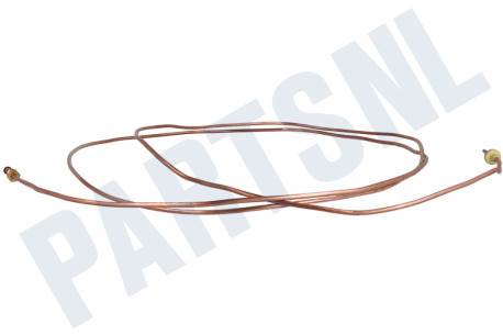 Dometic Koelkast Thermisch Element