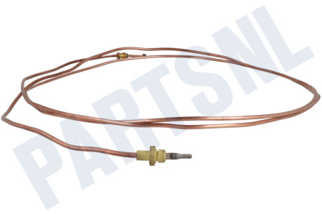 Dometic Koelkast Thermisch Element