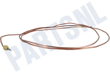 Dometic Koelkast Thermisch Element