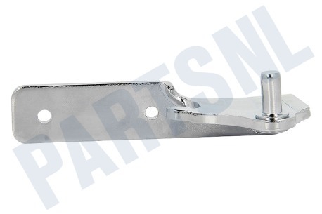 Haier Koelkast 0060120070B Scharnier Midden rechts