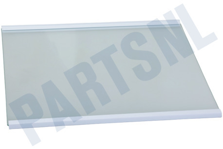 Hisense Koelkast Glasplaat Compleet