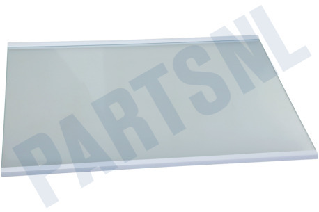 Hisense Koelkast Glasplaat Compleet