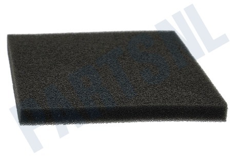 Philips Stofzuiger CP0789/01 Filter Uitblaasfilter