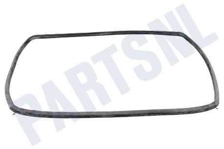 Zanussi-electrolux Oven-Magnetron 3873369007 Afdichtingsrubber