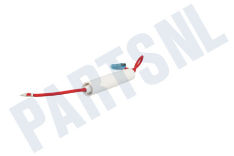 Philco Oven-Magnetron Zekering 5KV 800mA