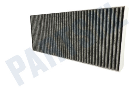 Alternatief  Filter Koolstoffilter