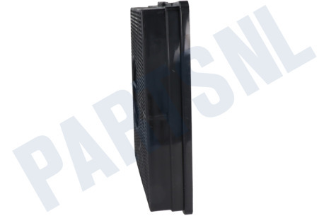 Ignis Afzuigkap Filter Koolstof 205x43x213mm