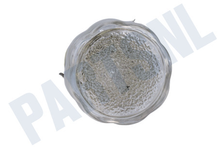 Pelgrim Oven-Magnetron Lamp Compleet