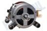AEG Wasmachine Motor Compleet, 1600 toeren