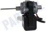 Ariston Koelkast Motor Van ventilator