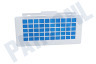 Bosch Stofzuiger 576094, 00576094 Filter Hygiene filter