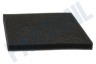Philips Stofzuiger CP0789/01 Filter Uitblaasfilter