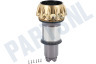 970979-03 Reservoir Cycloon Gold