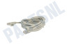 UTP CAT6 Netwerkkabel Grijs, 5 meter, 2x RJ45 Male